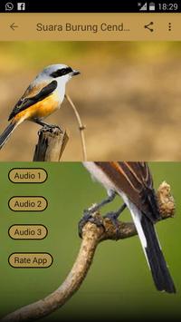 download suara burung
